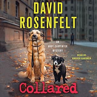 Collared Audiolibro Por David Rosenfelt arte de portada