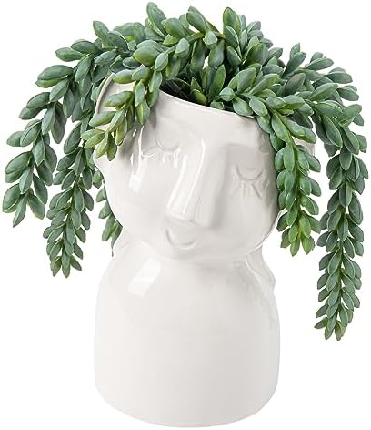 Fake Succulents Plants Artificial Succulents in Ceramic Pots Fake Potted Plants Faux Plants Indoor Fake Plants for Office, Desk, Shelf, Succulent Decor