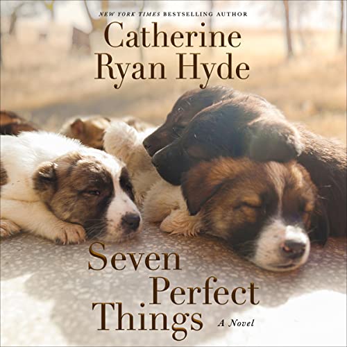 Seven Perfect Things Audiolibro Por Catherine Ryan Hyde arte de portada