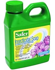 Safer 5118-6 Insect Killing Soap Concentrate - Insecticidal Soap for Plants - Kills Aphids, Whiteflies, Thrips, Spider Mites, and More - OMRI Listed for Organic Use