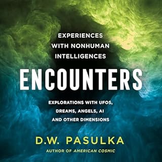 Encounters Audiolibro Por D. W. Pasulka arte de portada