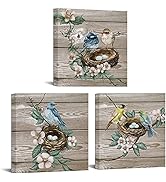 RyounoArt Bird Canvas Wall Art 3 Piece Rustic Nest Bird Eggs Painting Pictures Farm Country Print...