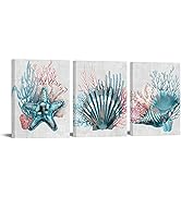 RyounoArt 3 Piece Sea Creatures Canvas Wall Art Blue Shell Conch Starfish Coral Painting Pictures...