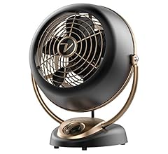 Vornado VFAN Alchemy Vintage Fan | Retro Metal Air Circulator for Cooling & Decor | 5 Speeds, Adjustable Tilt | Gunmetal