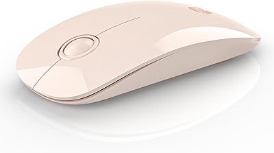 RAPIQUE Bluetooth Wireless Mouse - (BT5.1+USB) Slim Dual Mode Computer Mice with Quiet Click, Low Power, and 1600 DPI, Portable Cordless Mouse for MacBook, Laptop, iPad Pro/Air, Tablet (Pink)