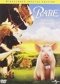 DVD Babe Book