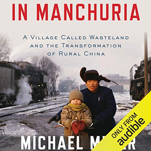 In Manchuria: A Village Called Wasteland and the Transformation of Rural China