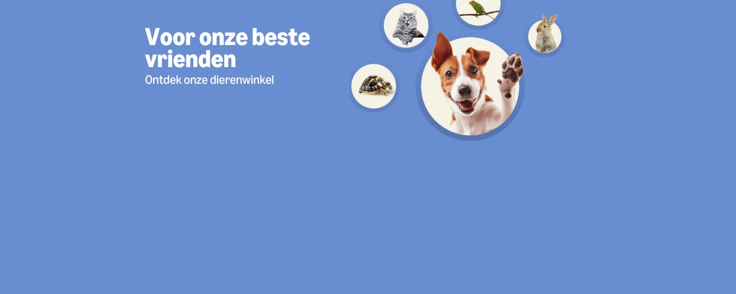 Dierenwinkel