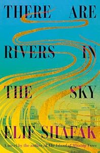 There Are Rivers in the Sky: A novel