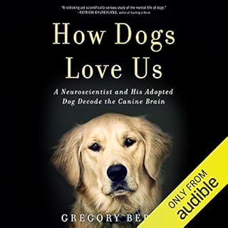 How Dogs Love Us Audiolibro Por Gregory Berns arte de portada