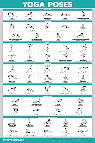 Palace Learning QuickFit Yoga Position Exercise Poster - Yoga Asana Poses Chart - Laminated, 18" x 27"