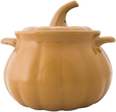 Sartén de hierro fundido esmaltado - Cazuela con tapa - Olla de cocina esmaltada - Horno holandés de hierro fundido esmaltado