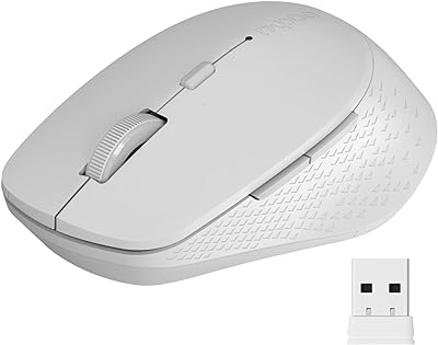 Rapoo M300G Silent Wireless Mouse, Bluetooth Mouse for Laptop, 2.4GHz with USB Receiver Computer Mouse, 2400 Adjustable DPI Optical Tracking, 1 Year Battery Life, Compatible with PC, Light Gray