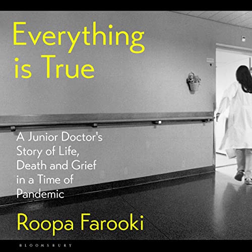 Everything Is True Audiolivro Por Roopa Farooki capa