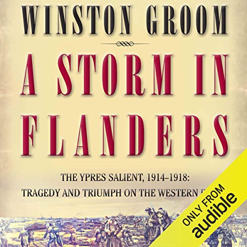 A Storm in Flanders Audiolivro Por Winston Groom capa