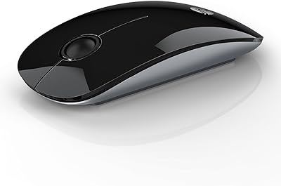 RAPIQUE Bluetooth Wireless Mouse - (BT5.1+USB) Slim Dual Mode Computer Mice with Quiet Click, Low Power, and 1600 DPI, Portable Mouse for MacBook, Laptop, iPad Pro/Air, Surface Pro (Black)