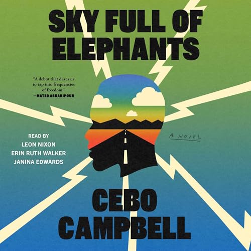 Sky Full of Elephants Audiolibro Por Cebo Campbell arte de portada