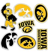 Desert Cactus University of Iowa Sticker Hawkeyes Stickers Vinyl Decals Laptop Water Bottle Car S...