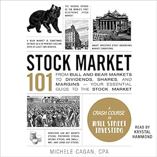 Stock Market 101 Audiobook By Michele Cagan CPA cover art