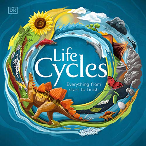 Life Cycles Audiolibro Por DK arte de portada