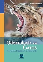 Odontologia em Gatos: Prevenção, Diagnóstico e Tratamento