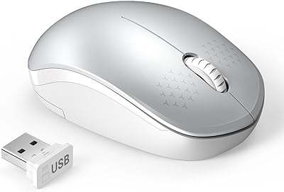 seenda Wireless Mouse, 2.4G Noiseless Mouse with USB Receiver Portable Computer Mice for PC, Tablet, Laptop and Windows/Mac/Linux (White & Silver)