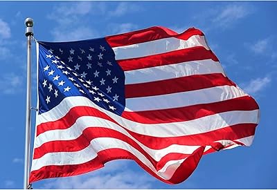 TOPFLAGS American Flag US Flags 4x6 for Outside in USA Outdoor High Wind Heavy Duty Outside Embroidered Stars All Weather Durable Nylon Sewn Stripes with Brass Grommets