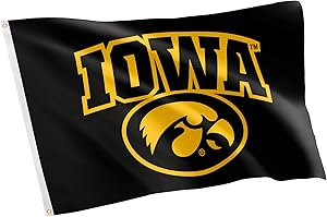 Desert Cactus University of Iowa Hawkeyes Banners 100% Polyester Indoor Outdoor 3x5 feet Flags (Style 7)