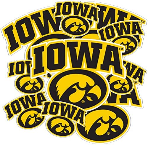 Desert Cactus University of Iowa Stickers Hawkeyes Vinyl Decals Laptop Water Bottle Car Scrapbook T3 (Type 3-1)