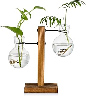 Voortplanting Station Met Houten Rek 2 Lamp Vintage Avocado Vaas Glazen Reageerbuis Vazen Voor Bloemen Acorn Plant Voor Th...