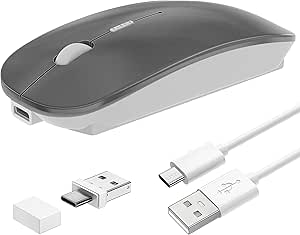 Tsmine Bluetooth Mouse Wireless, Slim Computer Mouse Dual-Mode Connection with USB Receiver Mouse Cordless Rechargeable Silent Mouse for Mac Windows Laptops Chromebook Tablets iPad(Gray)