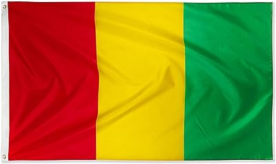 DANF Guinea Flag 3ftx5ft Guinean National Flags Polyester with Brass Grommets 3x5 Foot Flag