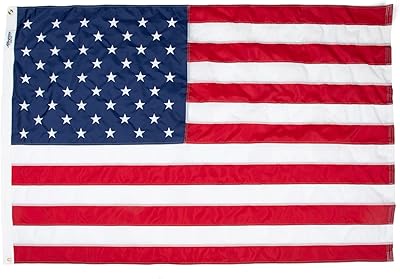 Allegiance Flag Supply American Flag | American-Sourced Nylon Fabric, Embroidered Stars, Hand-Stitched | Proudly Made in USA (3' x 5')