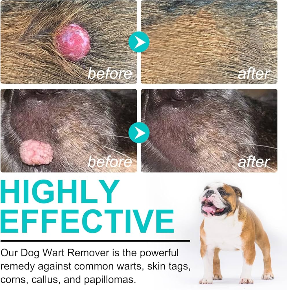 How to Get Rid of Skin Tags on Dogs