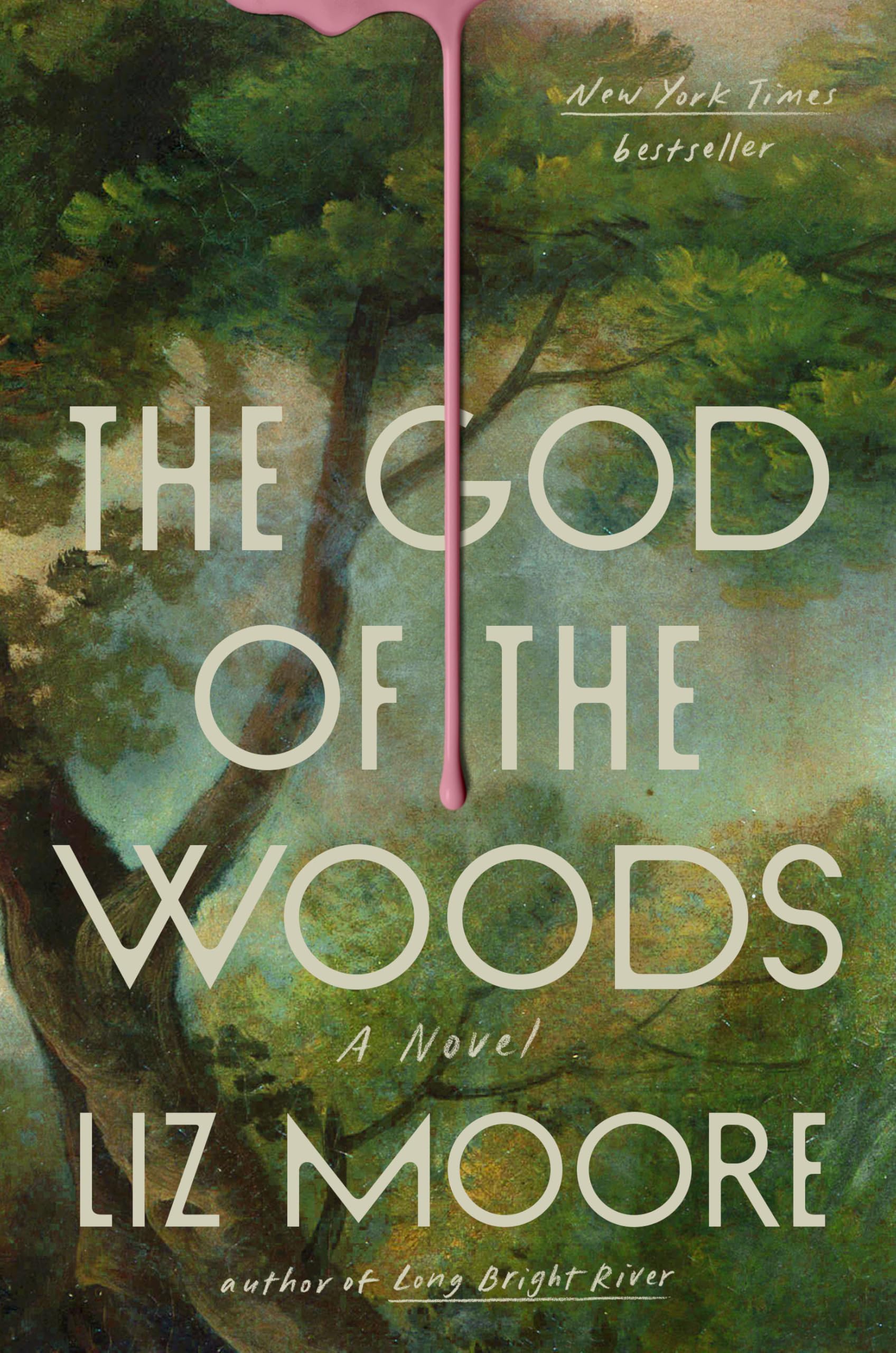 Cover image of The God of the Woods by Liz Moore