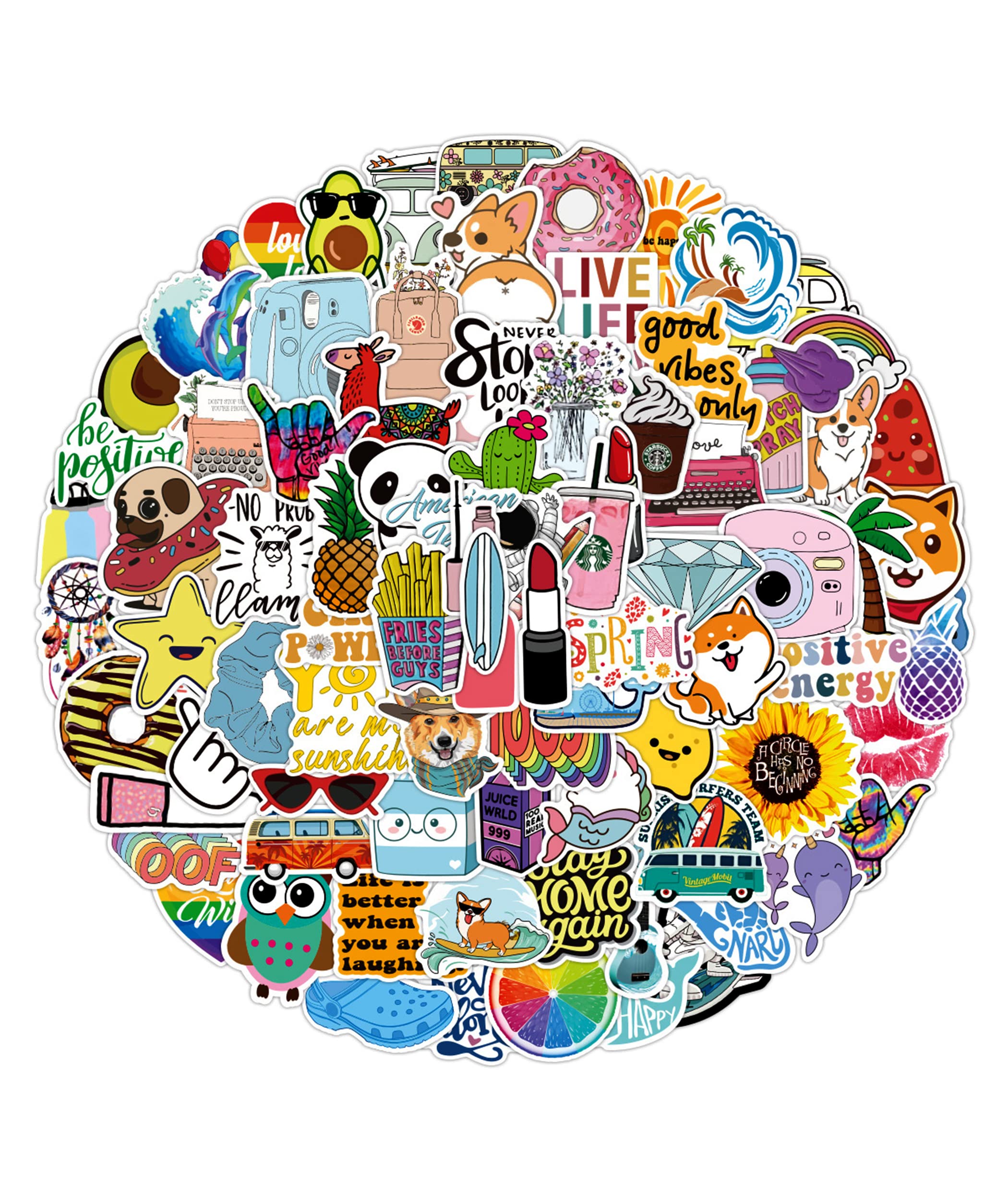 Amazon.com: Stickers for Water Bottles,100PCS Assorted Cute ...