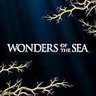 Wonders of the Sea (2017)