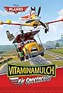 Vitaminamulch: Air Spectacular (2014)