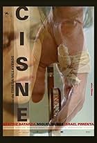 Cisne (2011)