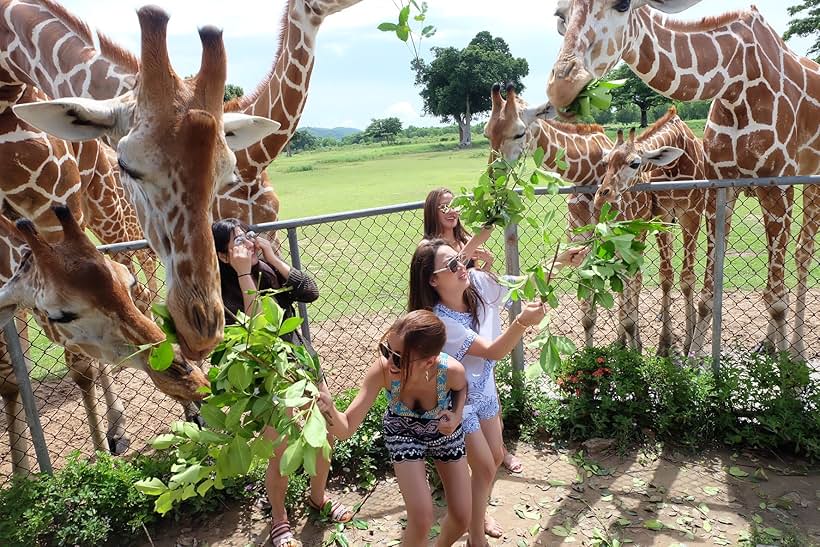 Kris Bernal, Meg Imperial, Jinri Park, and Arny Ross in Road Trip (2017)