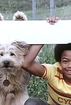 Todd Bridges and Johnny the Dog in Here's Boomer (1980)