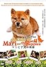 A Tale of Mari and Three Puppies (2007) Poster