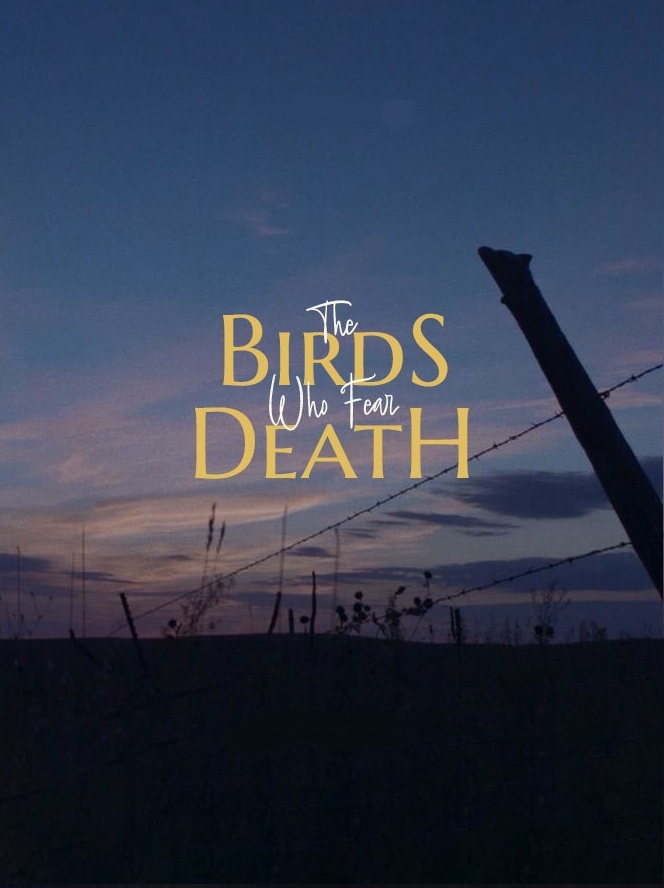 The Birds Who Fear Death (2024)