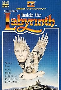 Primary photo for Inside the Labyrinth