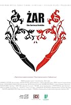 Zar (2013)