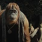 Peter Macon in Kingdom of the Planet of the Apes (2024)