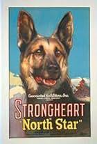 Strongheart the Dog in North Star (1925)