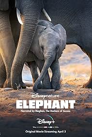 Elephant (2020)