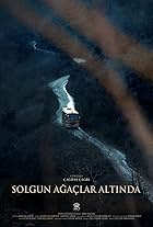 Solgun Agaçlar Altinda