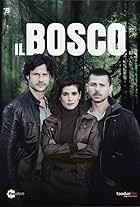 Il bosco (2015)